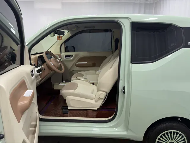2024 WuLing HongGuang MINI EV BEV 17.3KWH,autocango,china used car exporter,china ev exporter,chinese used car exporter,chinese used ev exporter