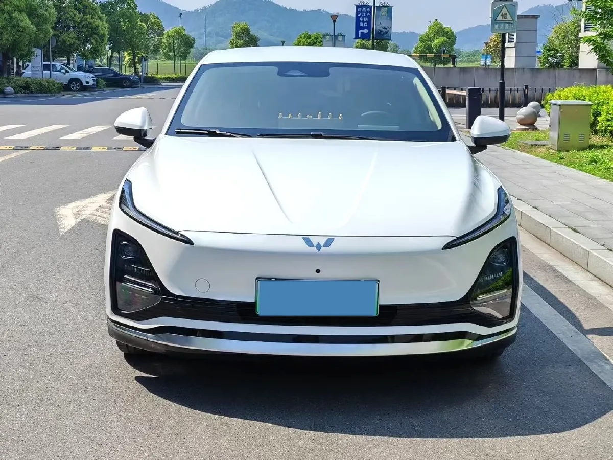 2024 WuLing XingGuang BEV 54.5KWH,autocango,china used car exporter,china ev exporter,chinese used car exporter,chinese used ev exporter