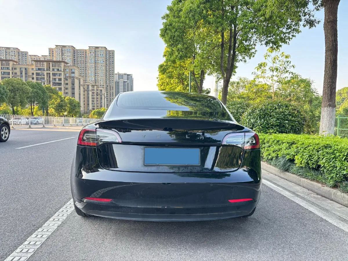 2020 Tesla Model 3 BEV 52KWH,autocango,china used car exporter,china ev exporter,chinese used car exporter,chinese used ev exporter