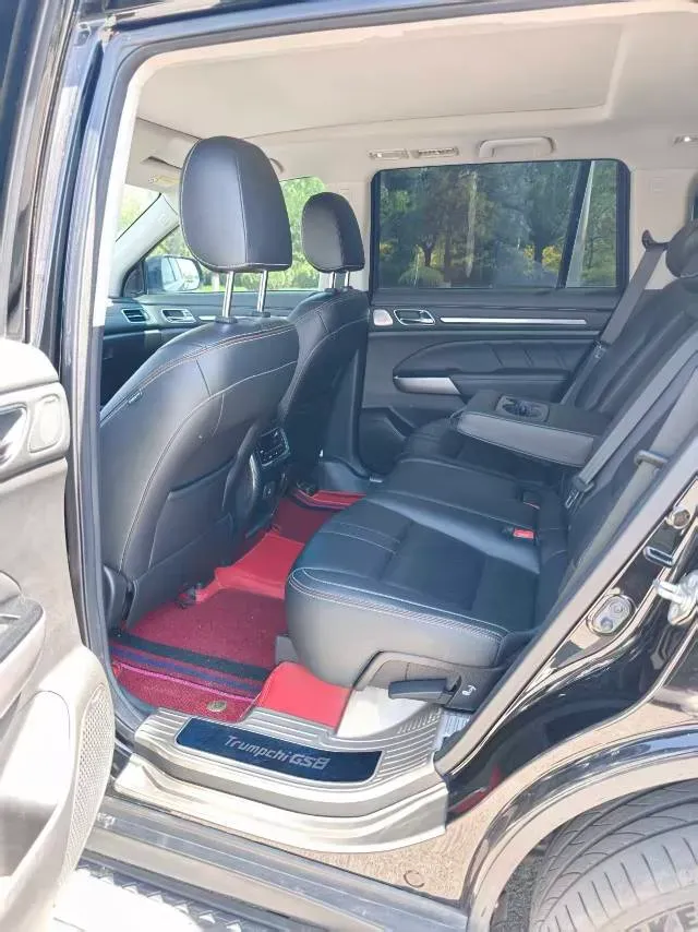 2020 GAC Trumpchi GS8 2.0T 252HP L4 6AT,autocango,china used car exporter,china ev exporter,chinese used car exporter,chinese used ev exporter