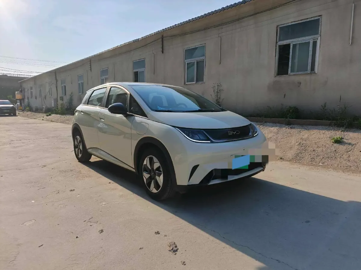 2025 BYD Dolphin BEV 44.928KWH,autocango,china used car exporter,china ev exporter,chinese used car exporter,chinese used ev exporter