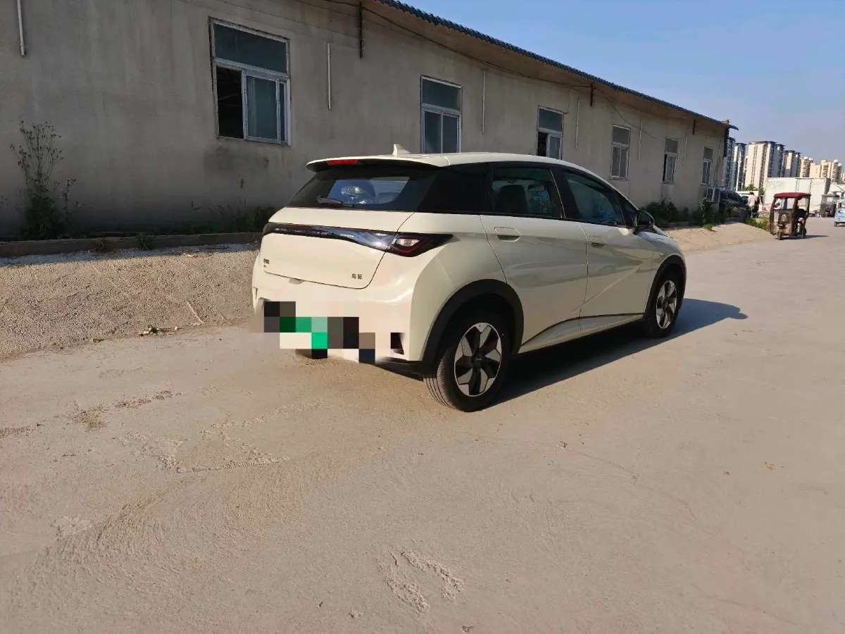 2025 BYD Dolphin BEV 44.928KWH,autocango,china used car exporter,china ev exporter,chinese used car exporter,chinese used ev exporter