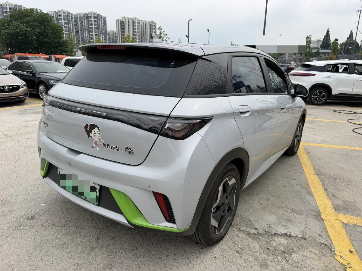 2021 BYD Yuan Pro BEV 50.1KWH,autocango,china used car exporter,china ev exporter,chinese used car exporter,chinese used ev exporter