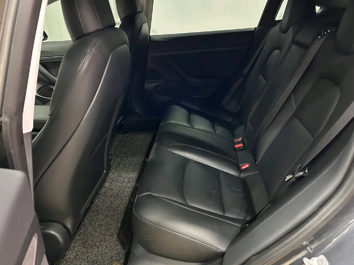 2020 Tesla Model 3 BEV 52KWH,autocango,china used car exporter,china ev exporter,chinese used car exporter,chinese used ev exporter