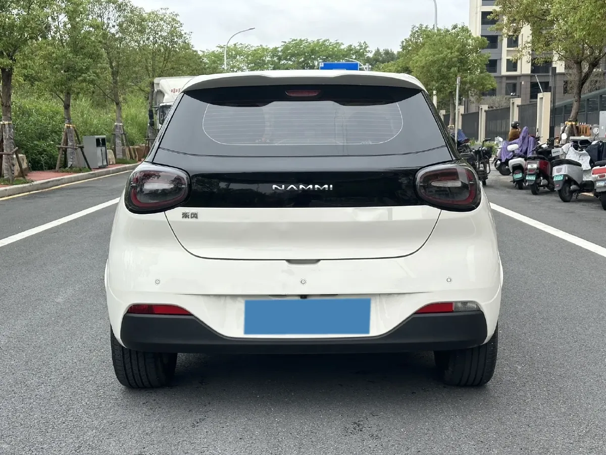 2024 DongFeng Nammi 01 BEV 42.3KWH,autocango,china used car exporter,china ev exporter,chinese used car exporter,chinese used ev exporter