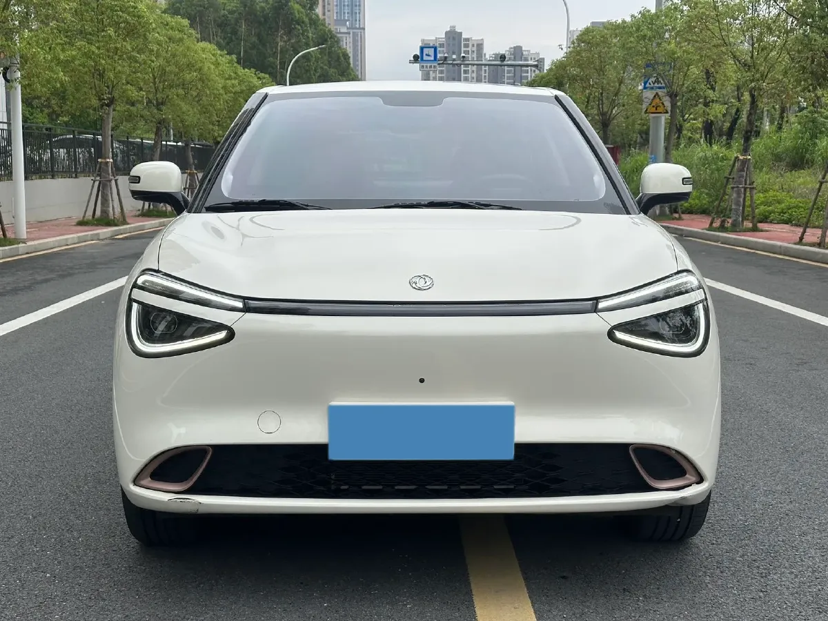 2024 DongFeng Nammi 01 BEV 42.3KWH,autocango,china used car exporter,china ev exporter,chinese used car exporter,chinese used ev exporter
