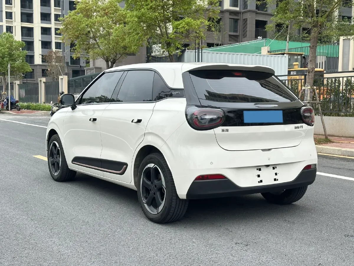 2024 DongFeng Nammi 01 BEV 42.3KWH,autocango,china used car exporter,china ev exporter,chinese used car exporter,chinese used ev exporter