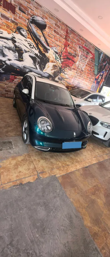 2021 Ora FunkyCat BEV 45.99KWH,autocango,china used car exporter,china ev exporter,chinese used car exporter,chinese used ev exporter