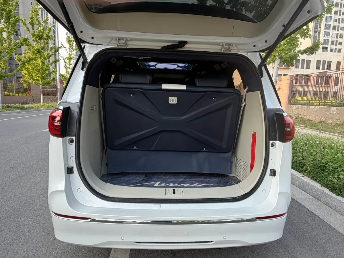 2023 Buick GL8 2.0T 237HP L4 9AT,autocango,china used car exporter,china ev exporter,chinese used car exporter,chinese used ev exporter