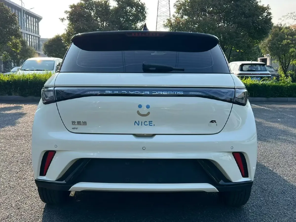 2023 BYD Dolphin BEV 44.928KWH,autocango,china used car exporter,china ev exporter,chinese used car exporter,chinese used ev exporter