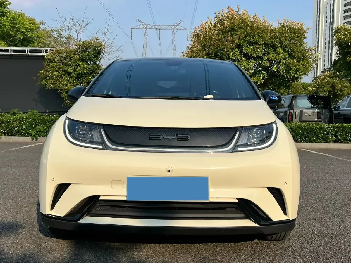 2023 BYD Dolphin BEV 44.928KWH,autocango,china used car exporter,china ev exporter,chinese used car exporter,chinese used ev exporter