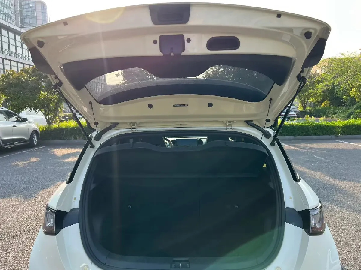 2023 BYD Dolphin BEV 44.928KWH,autocango,china used car exporter,china ev exporter,chinese used car exporter,chinese used ev exporter