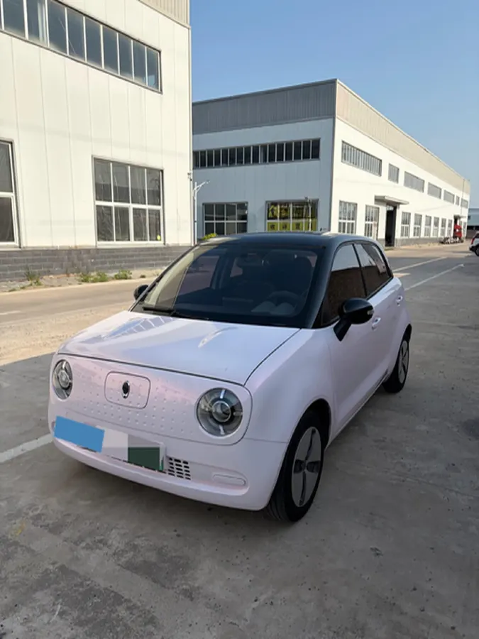 2021 Ora BlackCat BEV 28.5KWH,autocango,china used car exporter,china ev exporter,chinese used car exporter,chinese used ev exporter