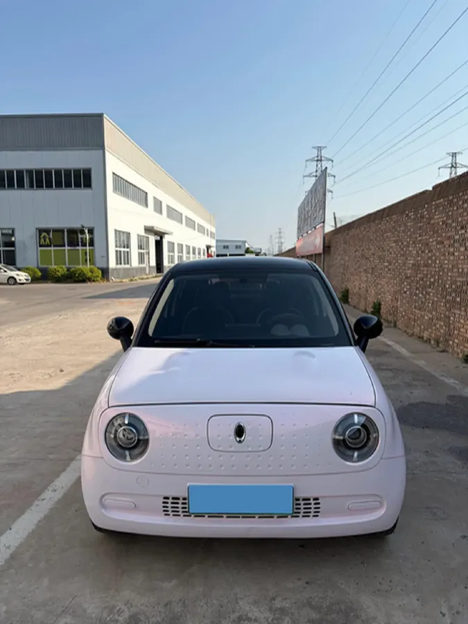 2021 Ora BlackCat BEV 28.5KWH,autocango,china used car exporter,china ev exporter,chinese used car exporter,chinese used ev exporter