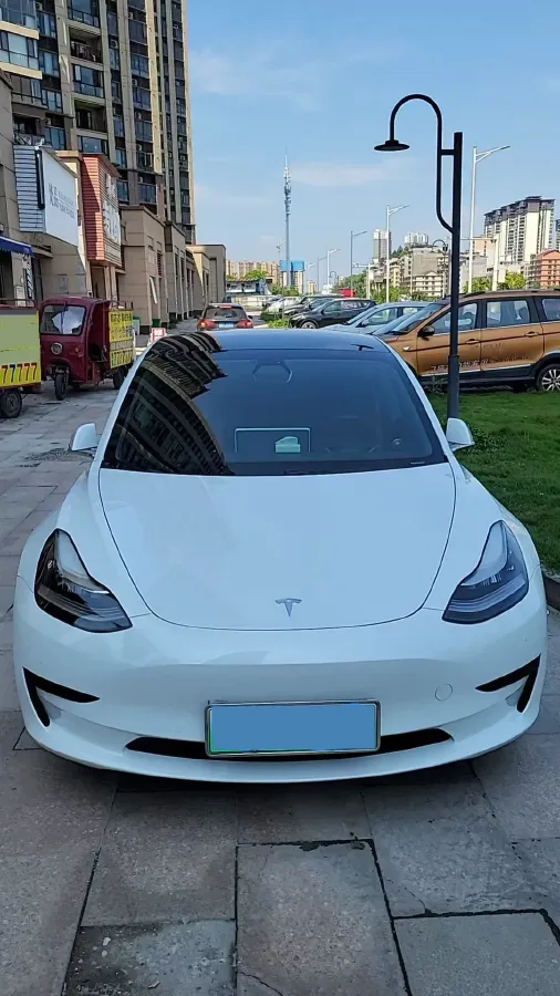 2020 Tesla Model 3 BEV 52KWH,autocango,china used car exporter,china ev exporter,chinese used car exporter,chinese used ev exporter