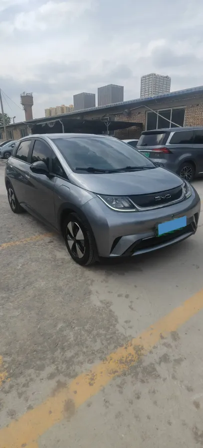 2023 BYD Dolphin BEV 44.928KWH,autocango,china used car exporter,china ev exporter,chinese used car exporter,chinese used ev exporter
