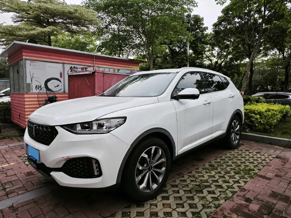 2018 WEY VV6 2.0T 197HP L4 7DCT,autocango,china used car exporter,china ev exporter,chinese used car exporter,chinese used ev exporter