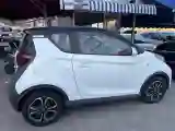 2019 Chery Little Ant BEV 30.6KWH