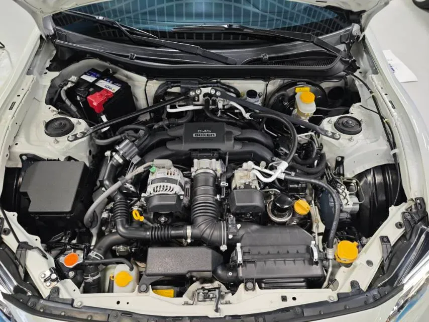 2019 Ford Focus 2.3T 280HP L4 6MT,autocango,china used car exporter,china ev exporter,chinese used car exporter,chinese used ev exporter