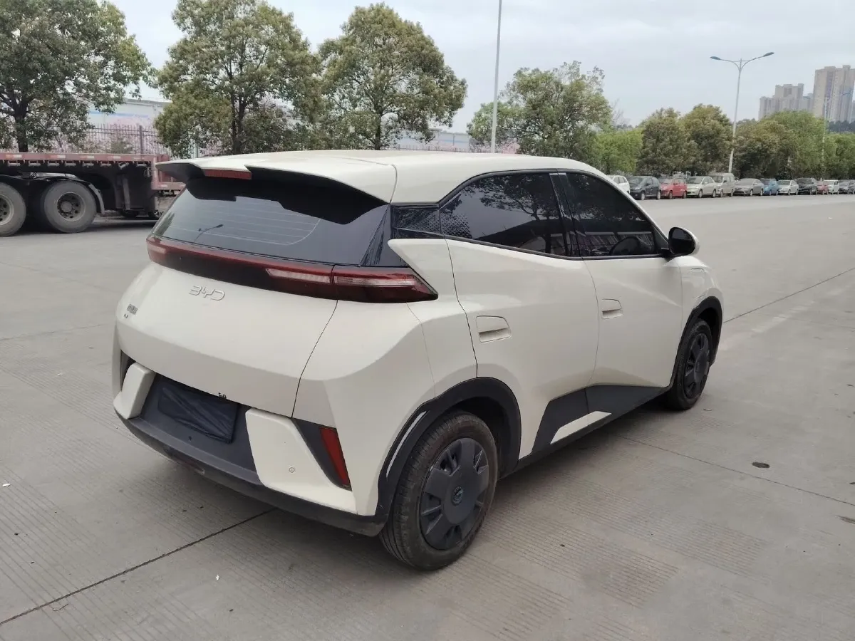 2025 BYD Seagull BEV 30.08KWH,autocango,china used car exporter,china ev exporter,chinese used car exporter,chinese used ev exporter