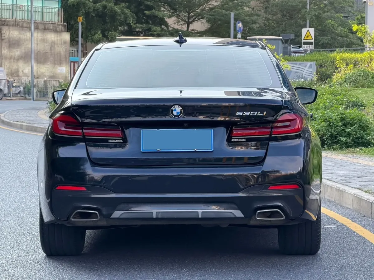 2021 BMW 5 Series 2.0T 252HP L4 8AT,autocango,china used car exporter,china ev exporter,chinese used car exporter,chinese used ev exporter