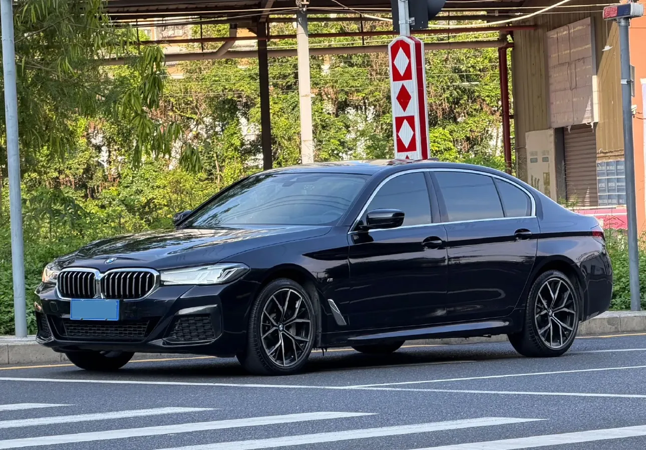 2021 BMW 5 Series 2.0T 252HP L4 8AT,autocango,china used car exporter,china ev exporter,chinese used car exporter,chinese used ev exporter