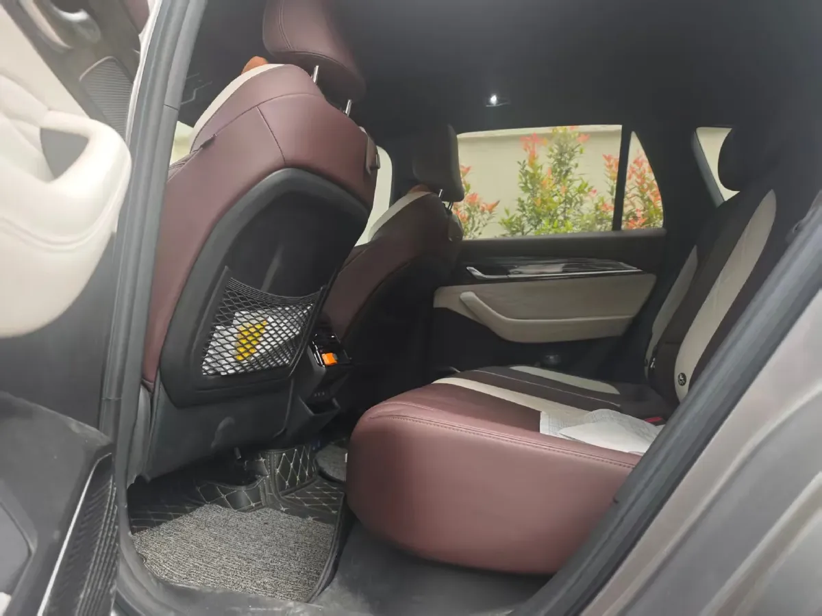 2024 Geely Monjaro 2.0T 238HP L4 8AT,autocango,china used car exporter,china ev exporter,chinese used car exporter,chinese used ev exporter