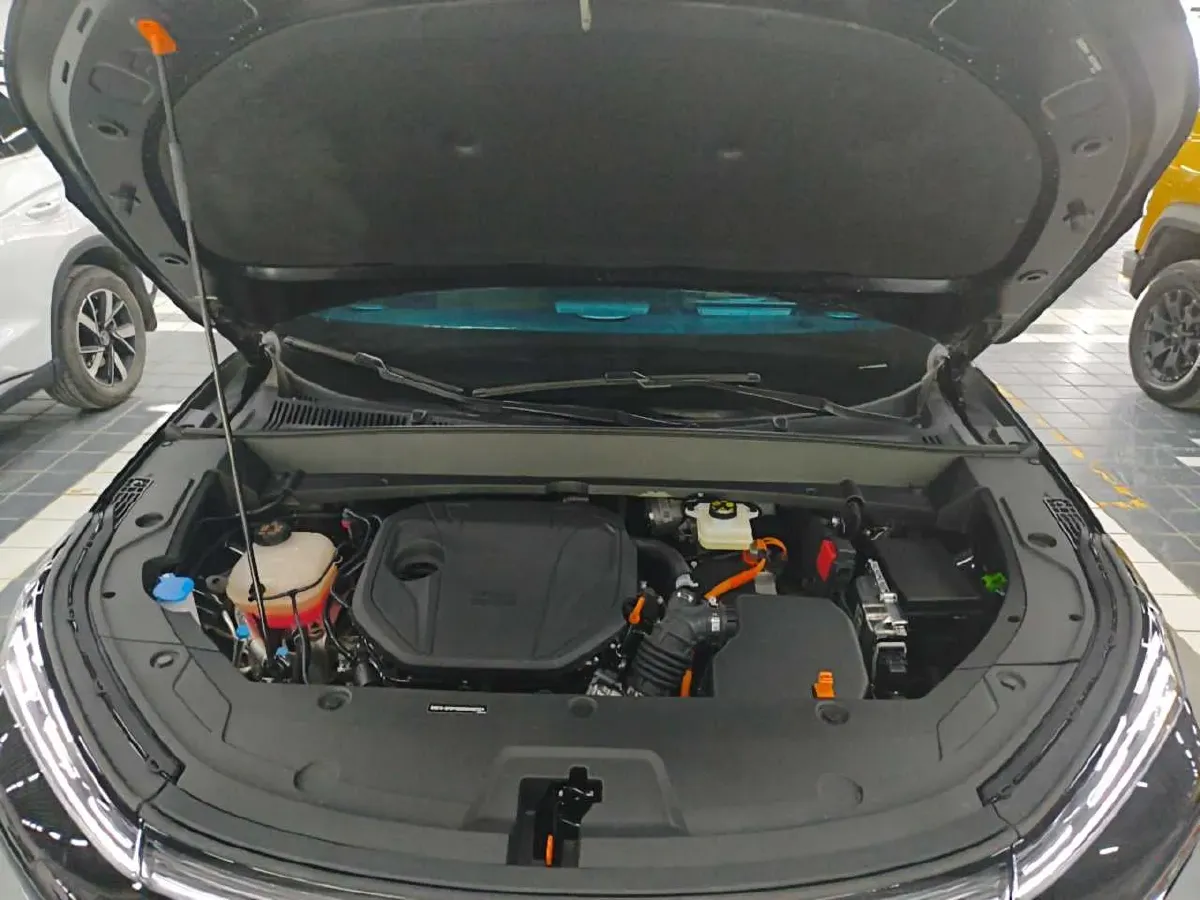 2025 BYD Sea Lion 05 DM-i 1.5L 101HP L4 E-CVT PHEV 18.3KWH,autocango,china used car exporter,china ev exporter,chinese used car exporter,chinese used ev exporter