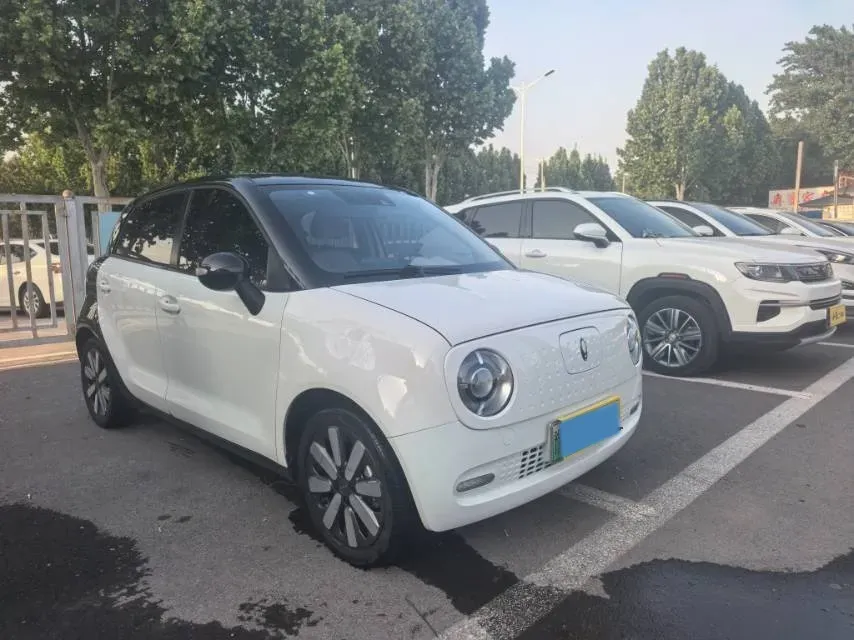 2019 Ora BlackCat BEV 33KWH,autocango,china used car exporter,china ev exporter,chinese used car exporter,chinese used ev exporter