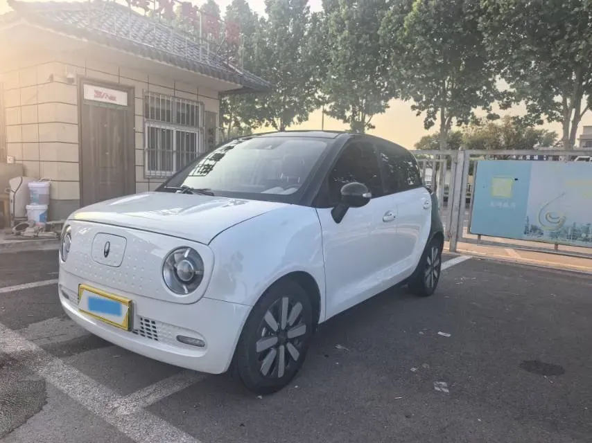 2019 Ora BlackCat BEV 33KWH,autocango,china used car exporter,china ev exporter,chinese used car exporter,chinese used ev exporter