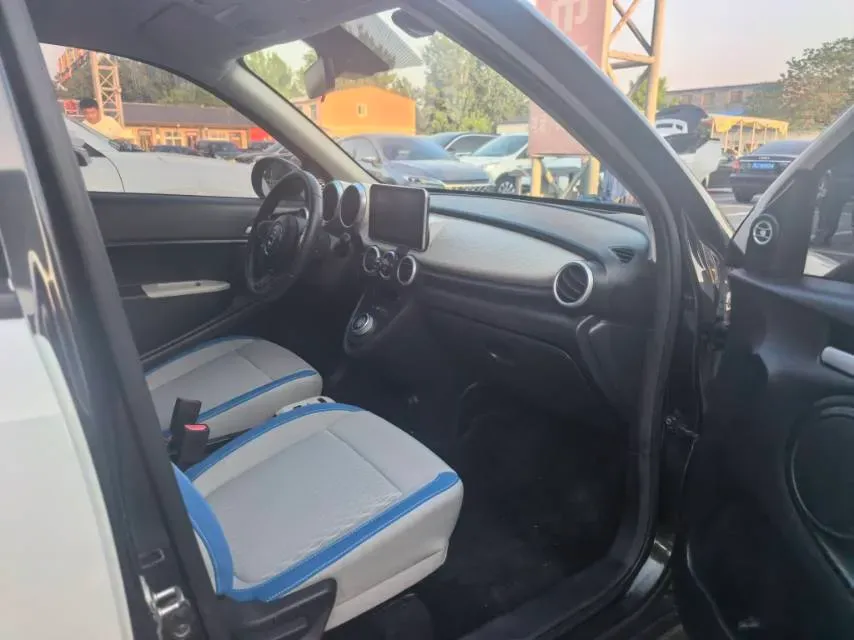 2019 Ora BlackCat BEV 33KWH,autocango,china used car exporter,china ev exporter,chinese used car exporter,chinese used ev exporter
