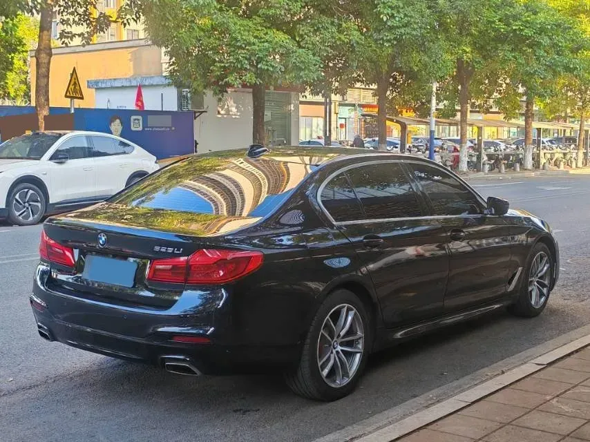 2020 BMW 5 Series 2.0T 184HP L4 8AT,autocango,china used car exporter,china ev exporter,chinese used car exporter,chinese used ev exporter