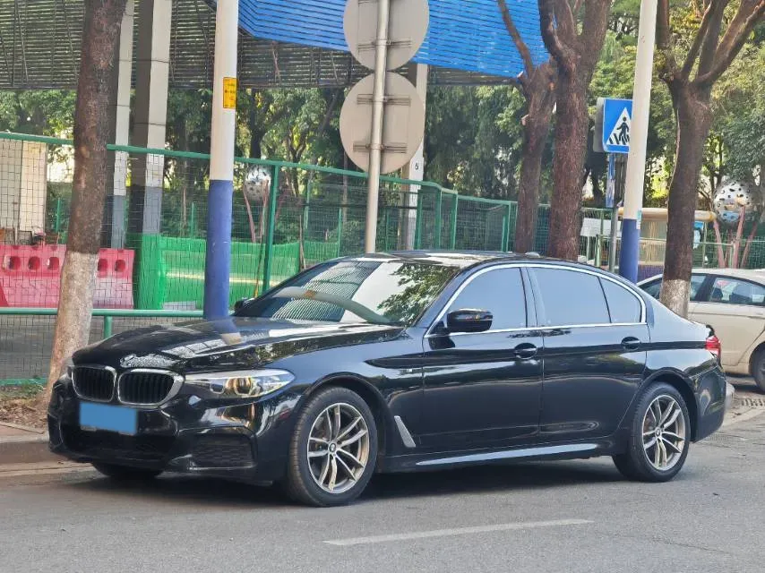2020 BMW 5 Series 2.0T 184HP L4 8AT,autocango,china used car exporter,china ev exporter,chinese used car exporter,chinese used ev exporter