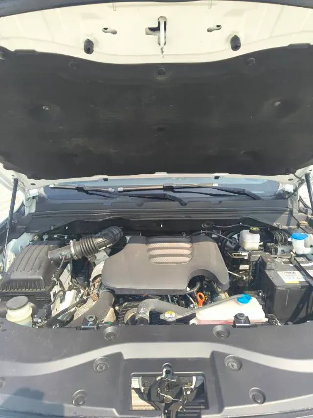 2020 Great Wall Poer 2.0T 163HP L4 8AT,autocango,china used car exporter,china ev exporter,chinese used car exporter,chinese used ev exporter