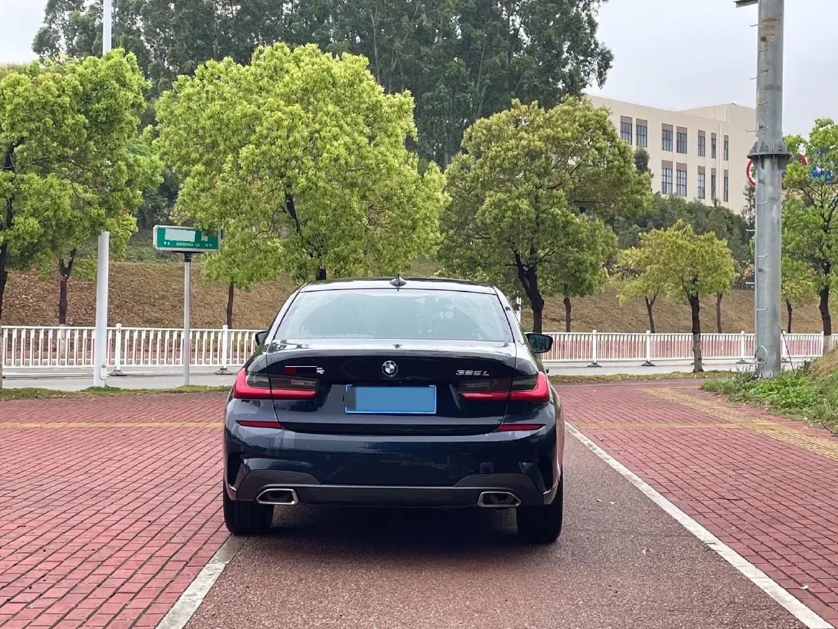 2021 BMW 3 Series 2.0T 184HP L4 8AT,autocango,china used car exporter,china ev exporter,chinese used car exporter,chinese used ev exporter