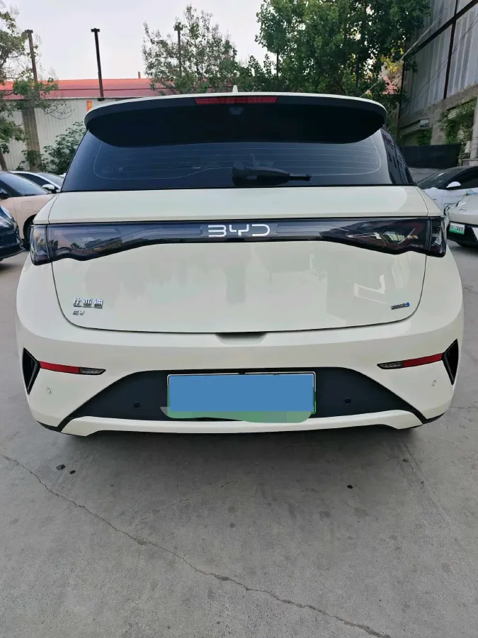 2025 BYD Dolphin BEV 45.12KWH,autocango,china used car exporter,china ev exporter,chinese used car exporter,chinese used ev exporter
