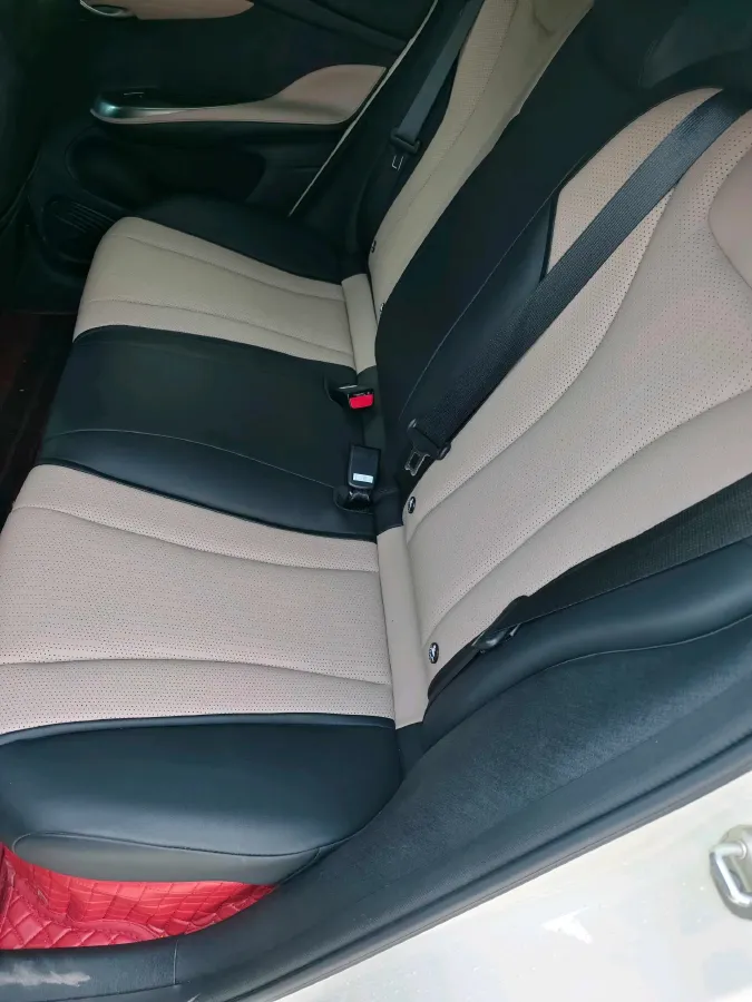 2025 BYD Dolphin BEV 45.12KWH,autocango,china used car exporter,china ev exporter,chinese used car exporter,chinese used ev exporter