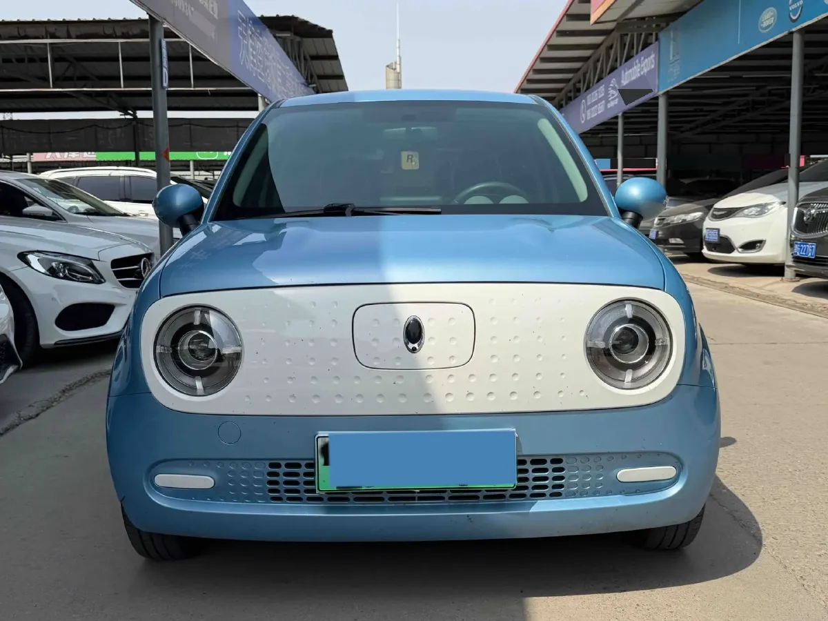 2019 Ora BlackCat BEV 28.5KWH,autocango,china used car exporter,china ev exporter,chinese used car exporter,chinese used ev exporter