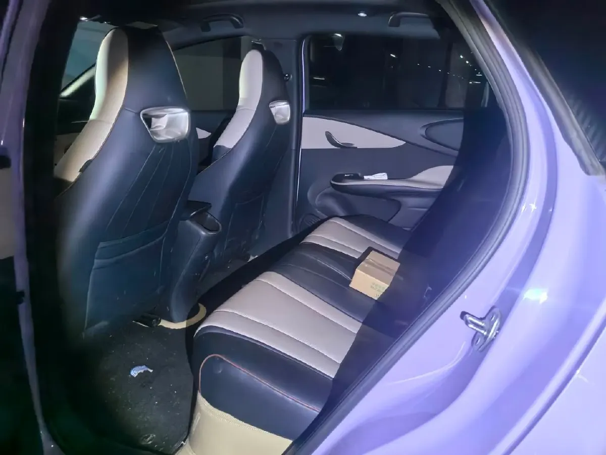 2024 BYD Dolphin BEV 44.928KWH,autocango,china used car exporter,china ev exporter,chinese used car exporter,chinese used ev exporter