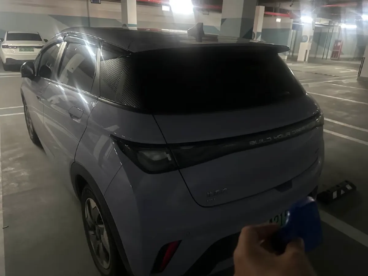 2024 BYD Dolphin BEV 44.928KWH,autocango,china used car exporter,china ev exporter,chinese used car exporter,chinese used ev exporter