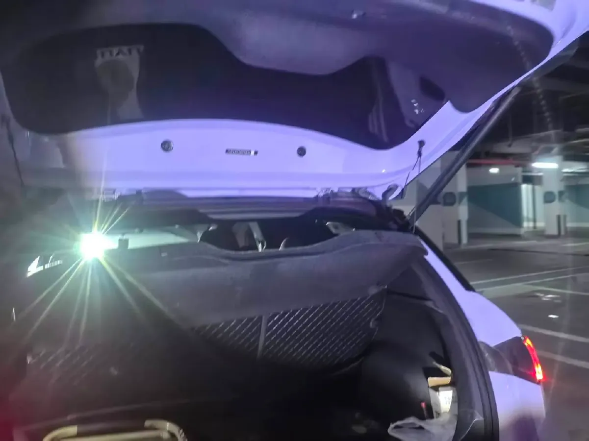 2024 BYD Dolphin BEV 44.928KWH,autocango,china used car exporter,china ev exporter,chinese used car exporter,chinese used ev exporter