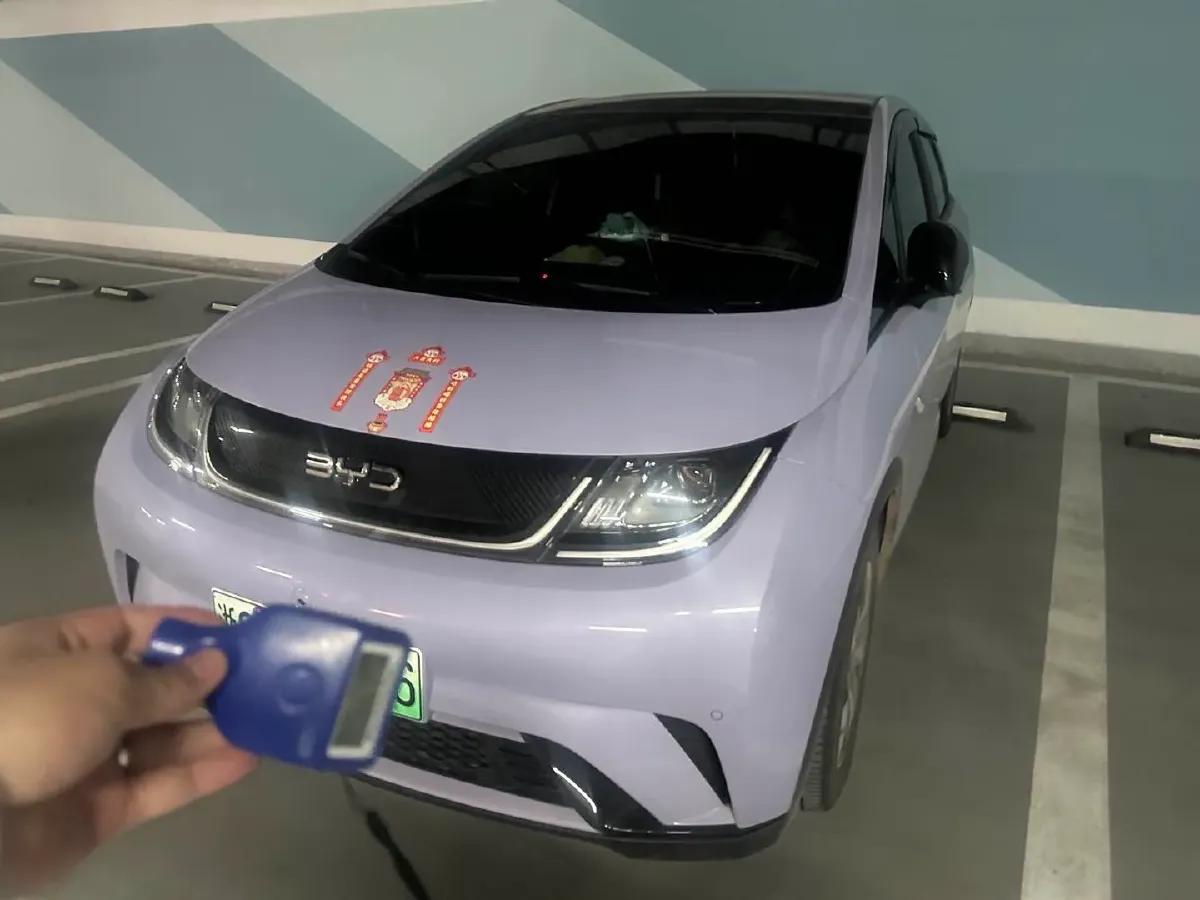 2024 BYD Dolphin BEV 44.928KWH,autocango,china used car exporter,china ev exporter,chinese used car exporter,chinese used ev exporter
