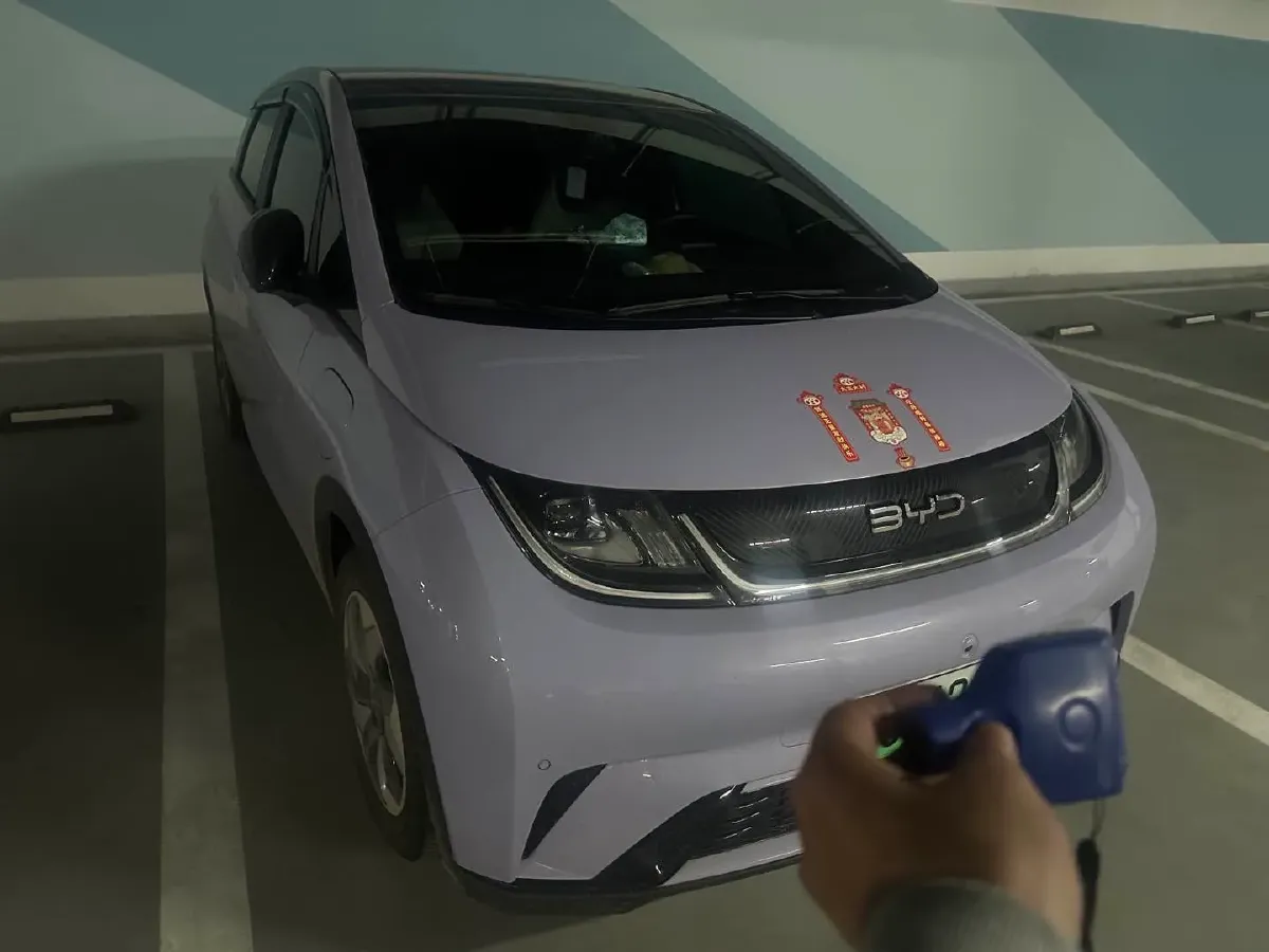 2024 BYD Dolphin BEV 44.928KWH,autocango,china used car exporter,china ev exporter,chinese used car exporter,chinese used ev exporter