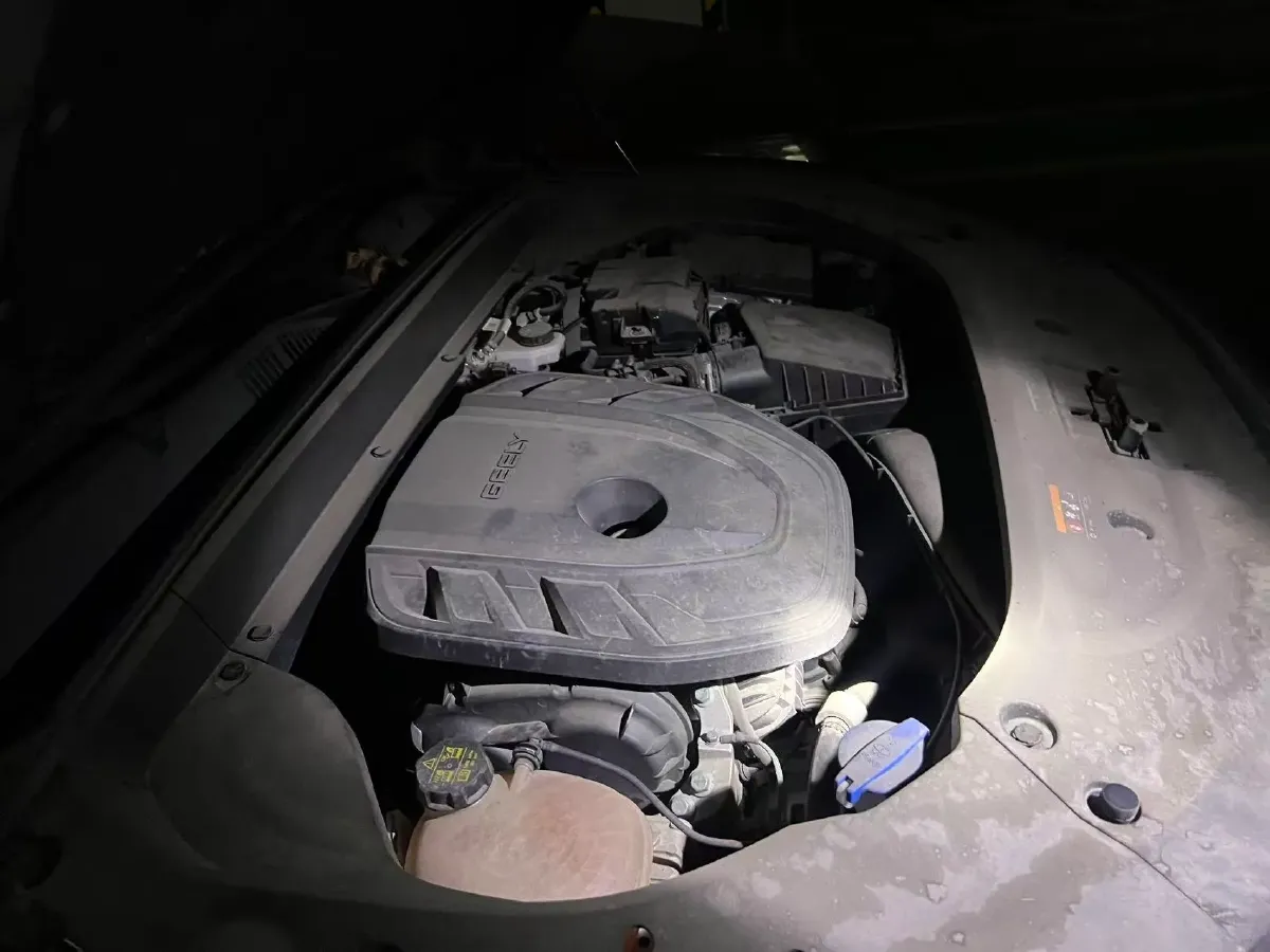 2021 Geely Monjaro 2.0T 218HP L4 7DCT,autocango,china used car exporter,china ev exporter,chinese used car exporter,chinese used ev exporter