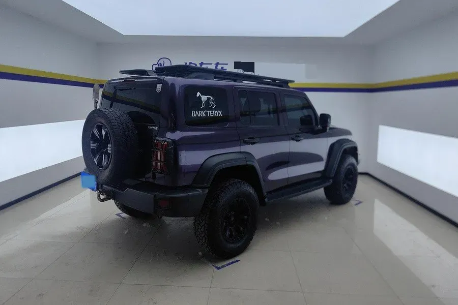 2023 Tank 300 2.0T 227HP L4 8AT,autocango,china used car exporter,china ev exporter,chinese used car exporter,chinese used ev exporter