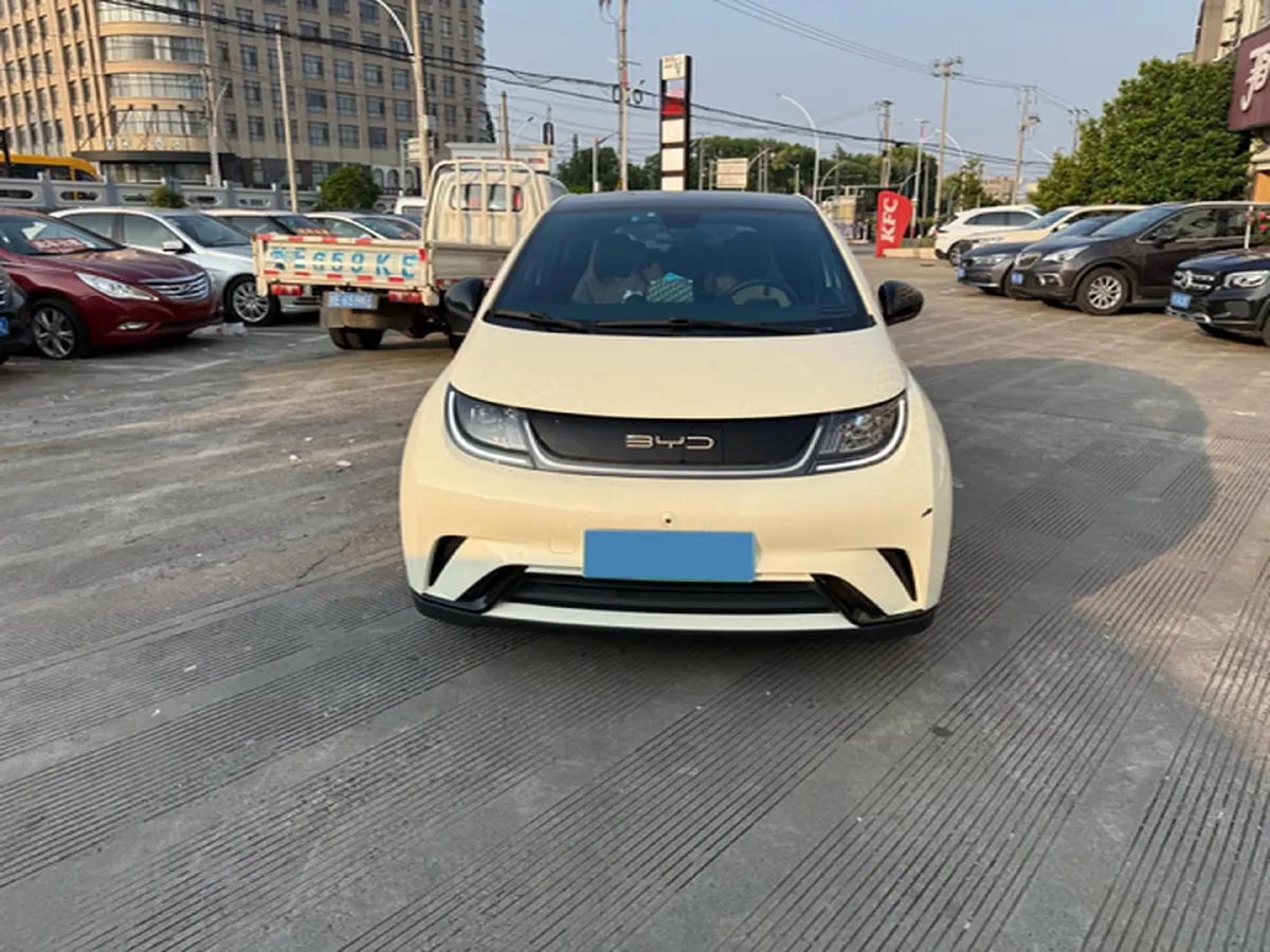 2021 BYD Yuan Pro BEV 50.1KWH,autocango,china used car exporter,china ev exporter,chinese used car exporter,chinese used ev exporter