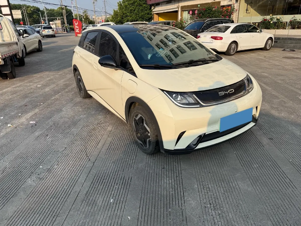 2021 BYD Yuan Pro BEV 50.1KWH,autocango,china used car exporter,china ev exporter,chinese used car exporter,chinese used ev exporter