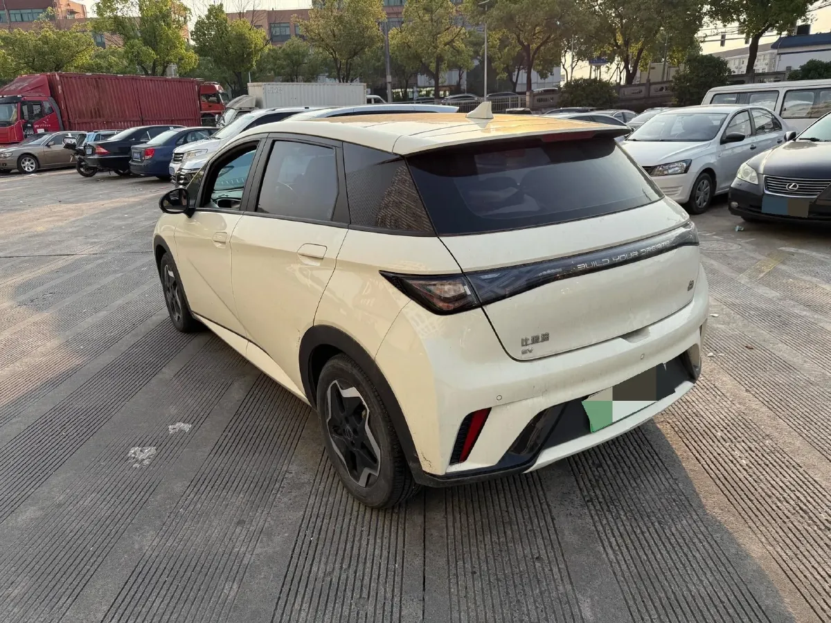 2021 BYD Yuan Pro BEV 50.1KWH,autocango,china used car exporter,china ev exporter,chinese used car exporter,chinese used ev exporter