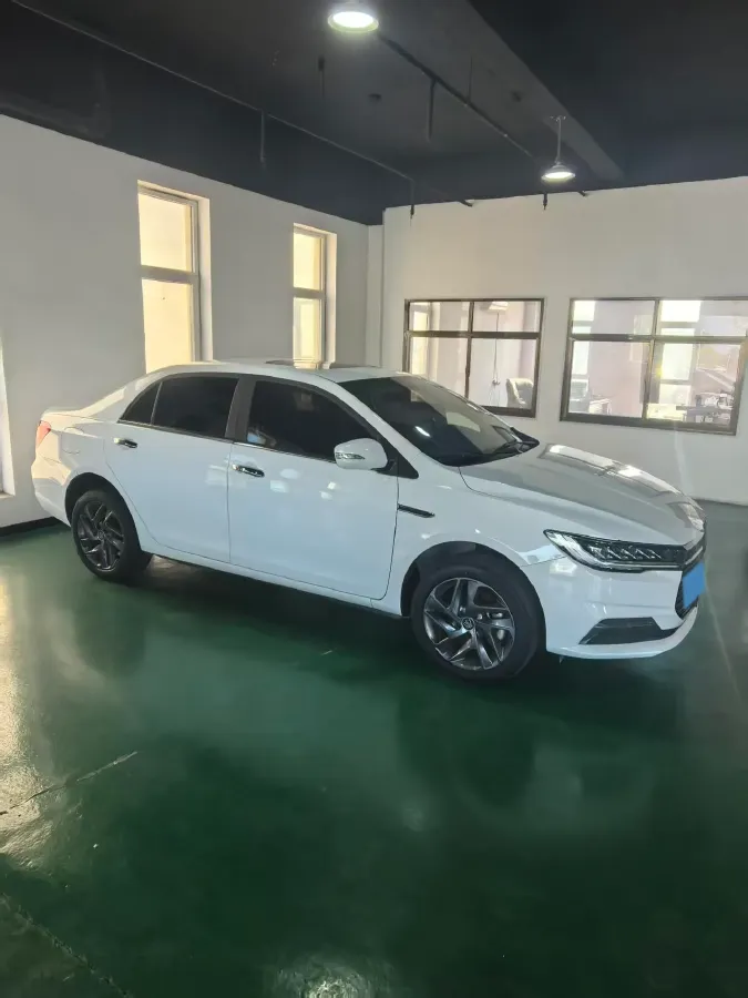 2019 BYD Qin BEV 53.1KWH,autocango,china used car exporter,china ev exporter,chinese used car exporter,chinese used ev exporter