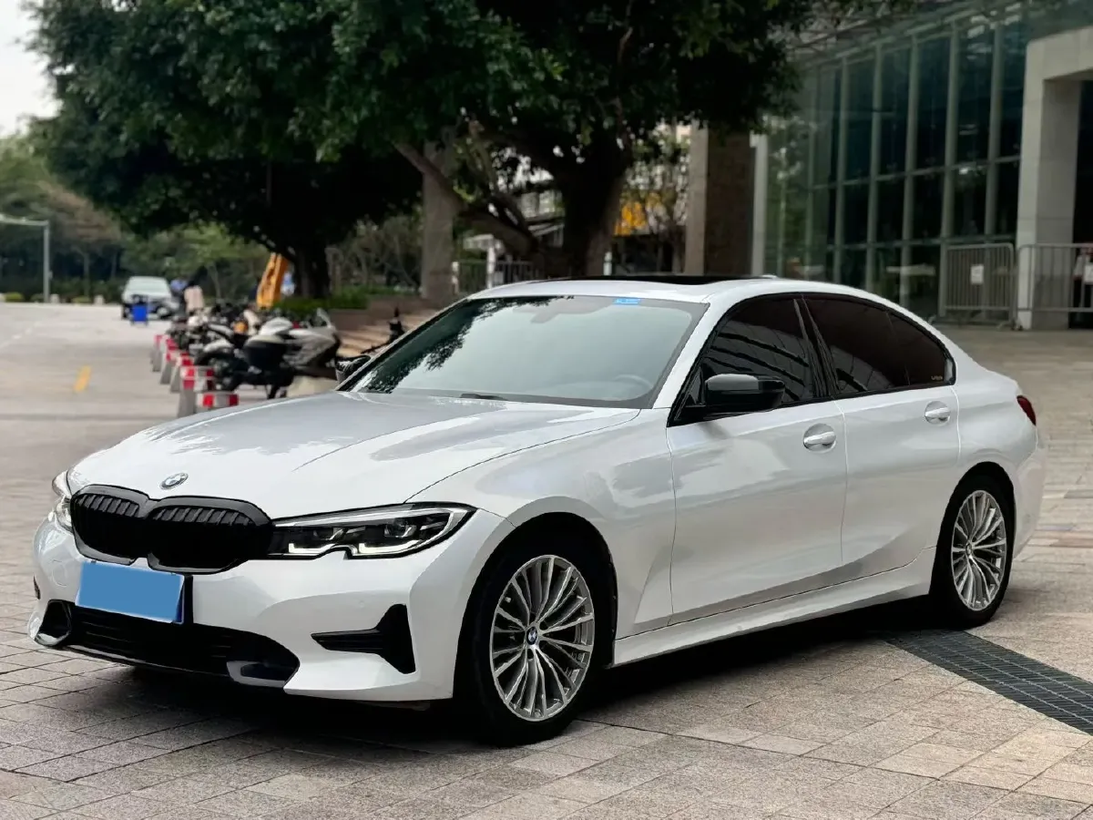 2020 BMW 3 Series 2.0T 156HP L4 8AT,autocango,china used car exporter,china ev exporter,chinese used car exporter,chinese used ev exporter